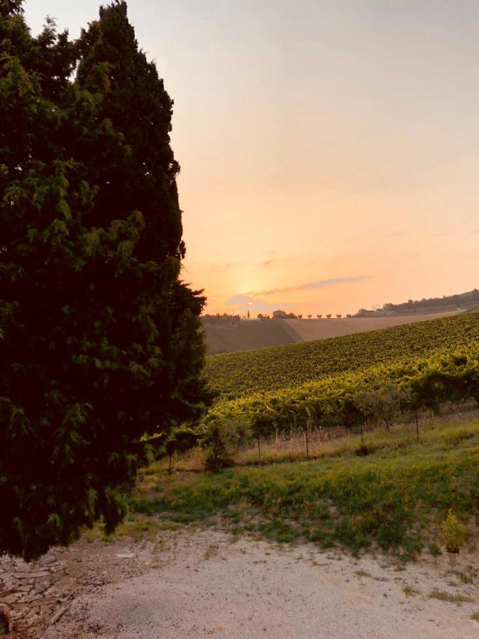 B&B Santa Caterina Acquaviva Picena Bagian luar foto