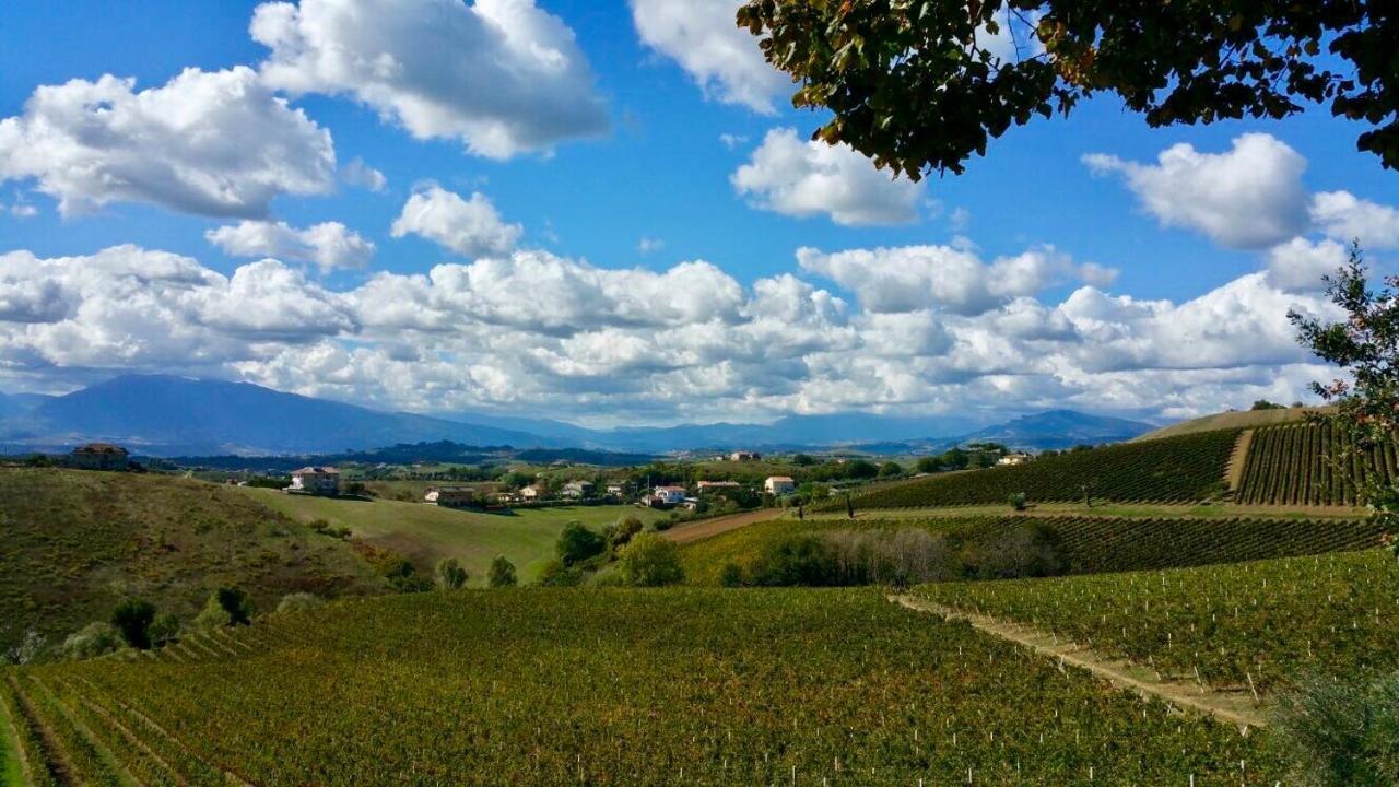 B&B Santa Caterina Acquaviva Picena Bagian luar foto