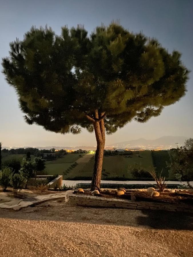 B&B Santa Caterina Acquaviva Picena Bagian luar foto