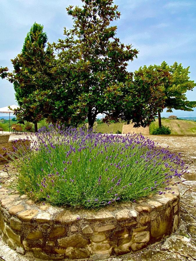B&B Santa Caterina Acquaviva Picena Bagian luar foto