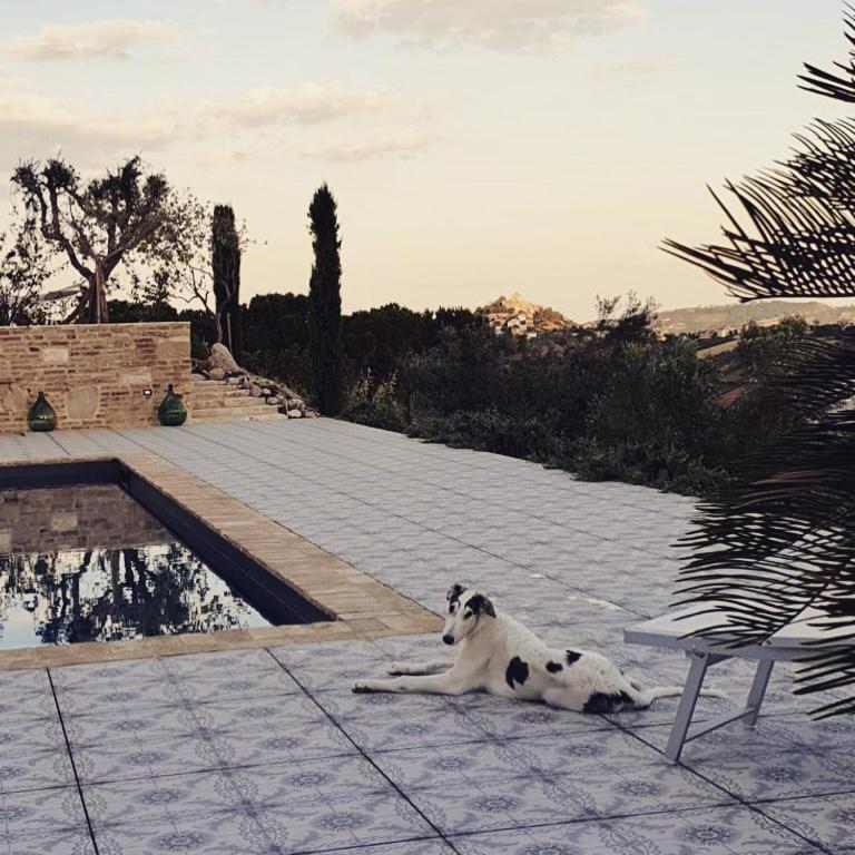 B&B Santa Caterina Acquaviva Picena Bagian luar foto